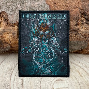 patch_disturbed-evolution